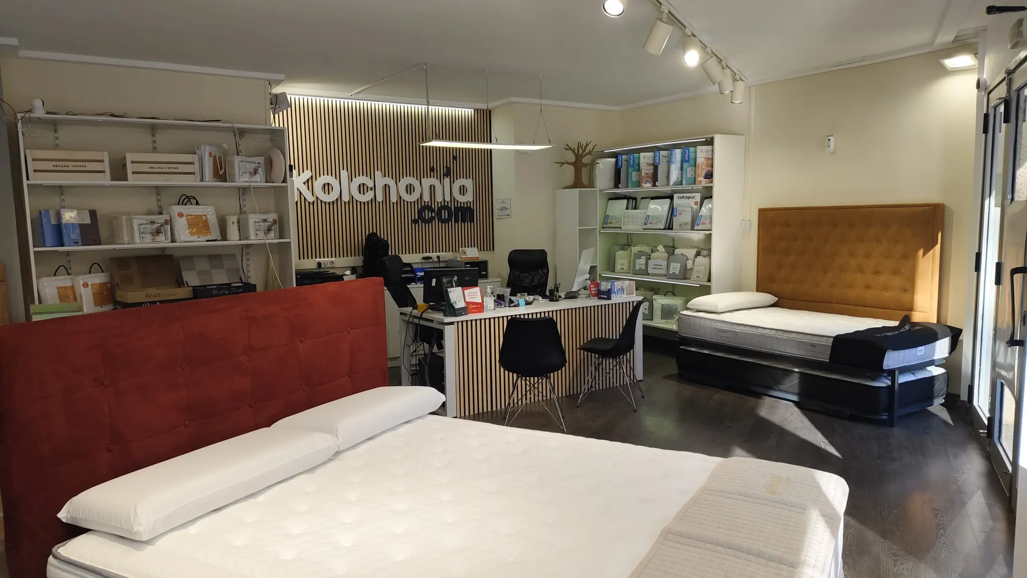 Imagen de la tienda Kolchonia